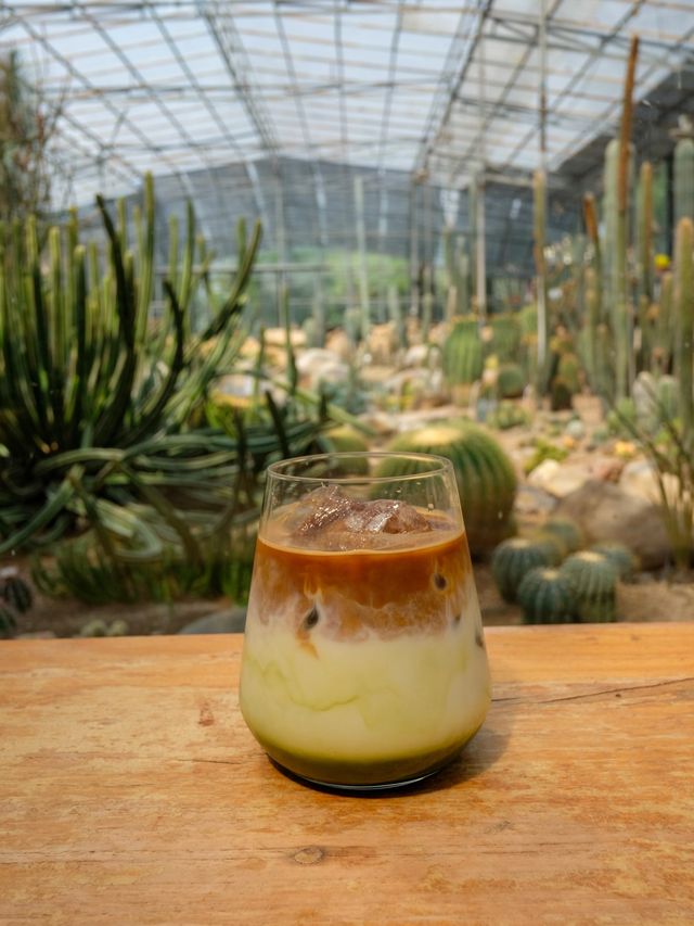 Botanist Activity Space & Cafe คาเฟ่สวนแคคตัส 🌵