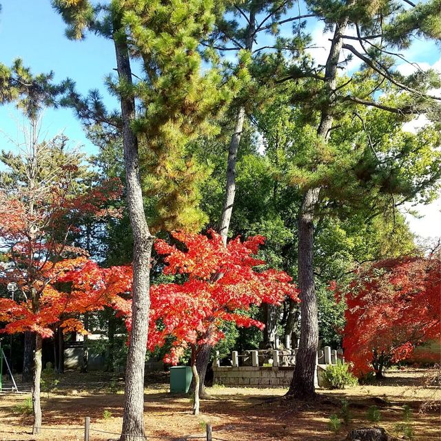 廣隆寺：京都最古老佛寺，歷史文化之旅