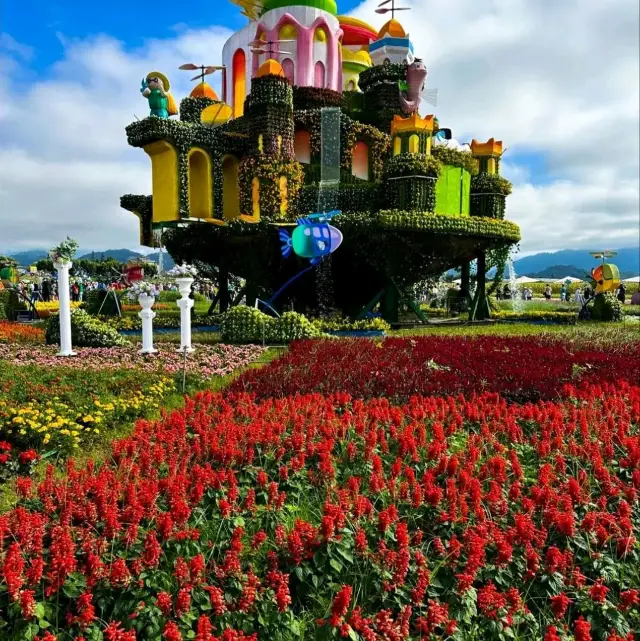 Xinshe Sea of Flowers