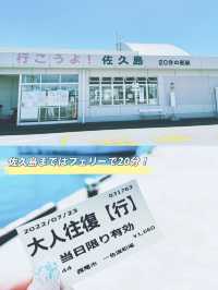 【日帰り旅行】アートと自然を満喫！佐久島フォトジェニック旅📷✨