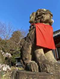 ศาลเจ้าน้ำแข็งไส Himuro Jinja Shrine, Nara