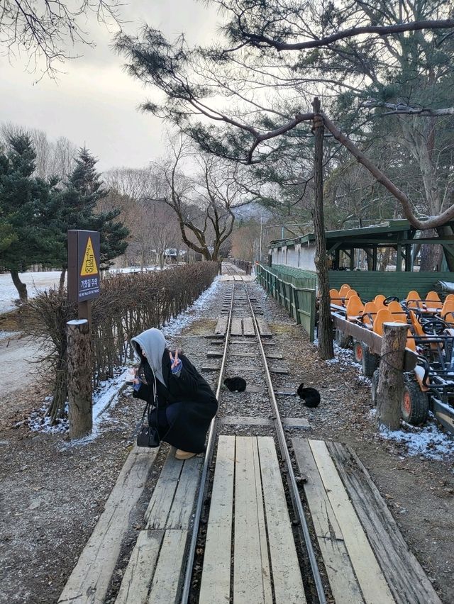 겨울 춘천 여행 필수 코스 "남이섬"