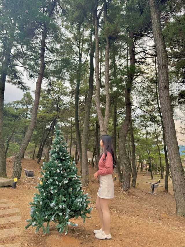 눈내리는 감성 카페 소디스 커피