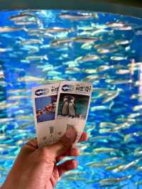 🤡Aqua World Oarai Aquarium วิวมหาสมุทรที่งดงาม