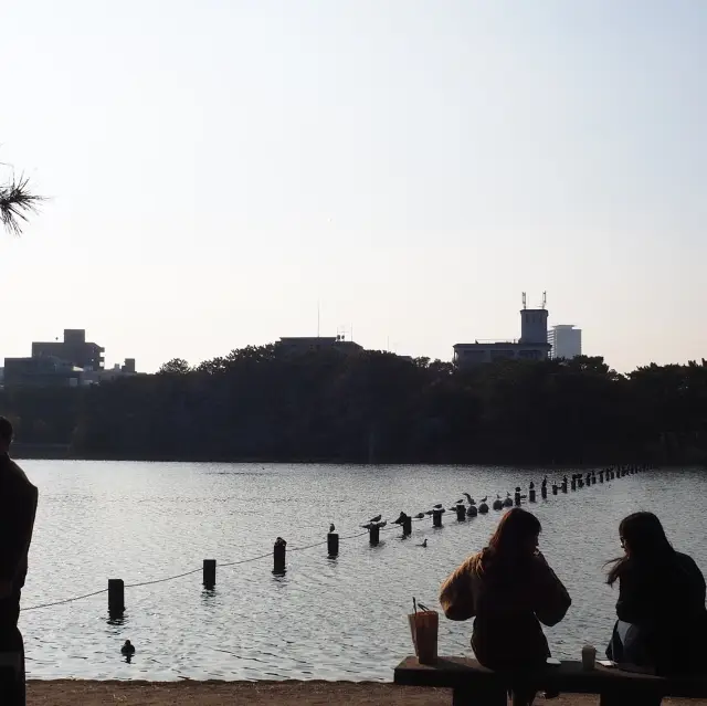 A park is in the city center