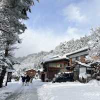 겨울왕국 시라카와고❄️