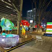 서울광화문 빛초롱축제&서울라이트✨