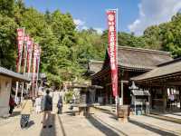 One of the top 3 Inari Shrines in Japan