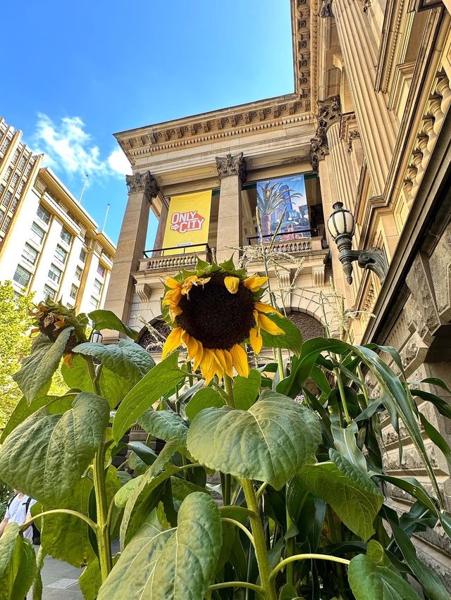 Wandering around Central Melbourne