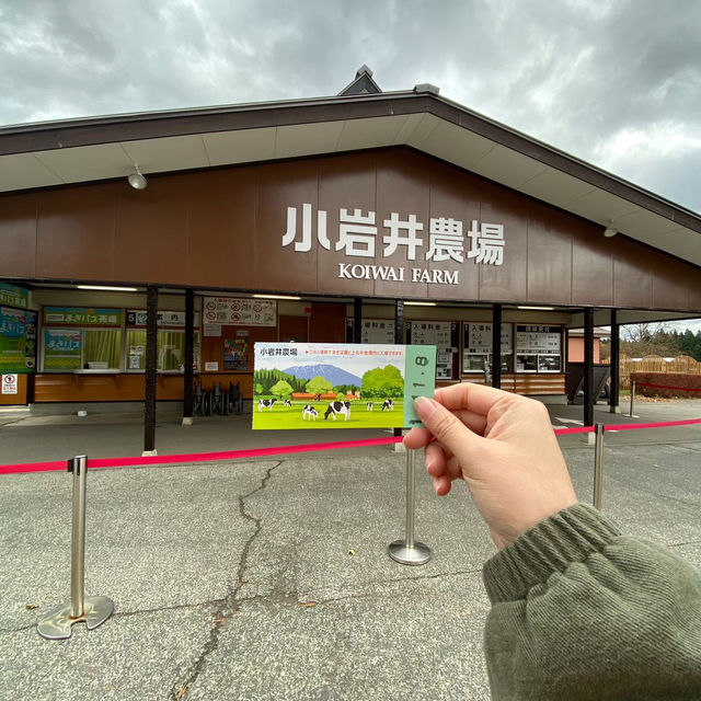 Koiwai farm; try their milk!