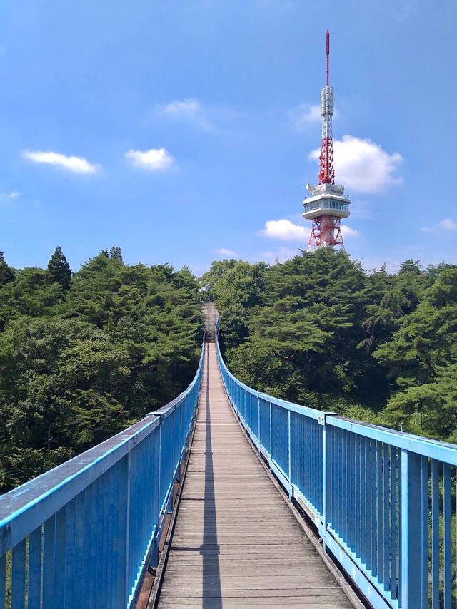 Hachimanyama Park Utsunomiya Tower