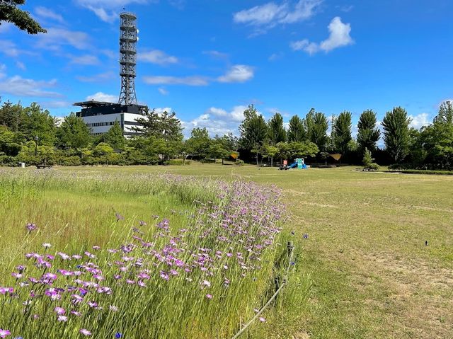 Toyanogata Park