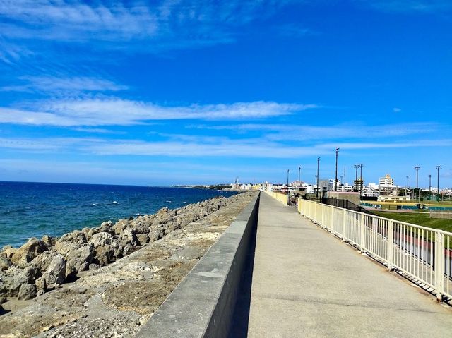 Kaneku Seaside Park