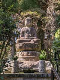 龍安寺の境内の鏡容池(おしどり池)の、水分石(みくまり石)の上には、２羽の鳥が仲良く並んでいた