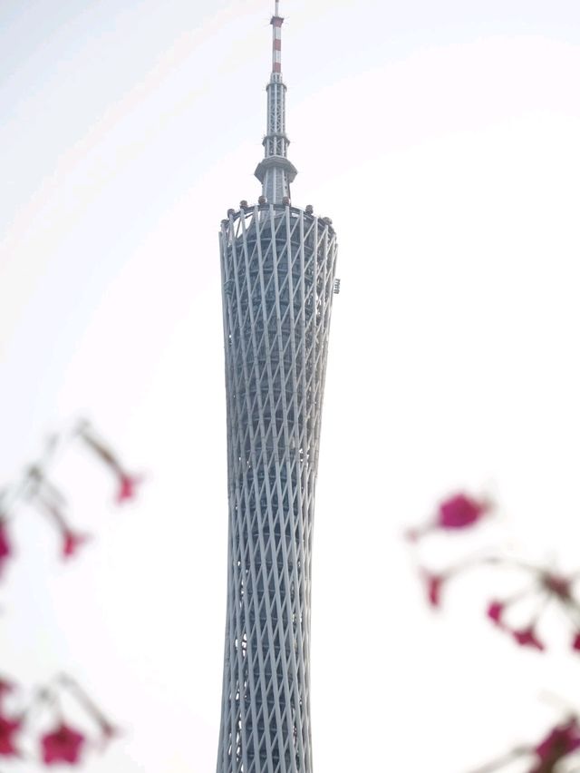 🥰海心沙亞運公園：百花齊放💐夜間噴泉表演⛲️