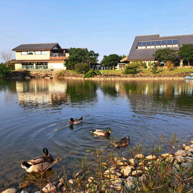 宜蘭綠舞日式主題園區，彷彿飛到日本渡假✨️