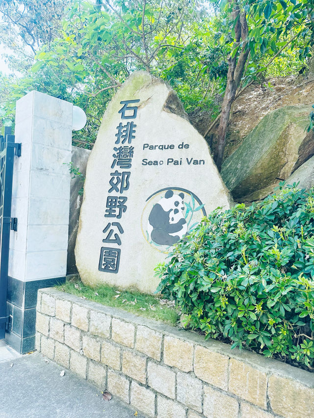 免費親子活動❣️睇熊貓🐼