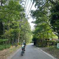 大自然でサイクリング【大分県由布市】