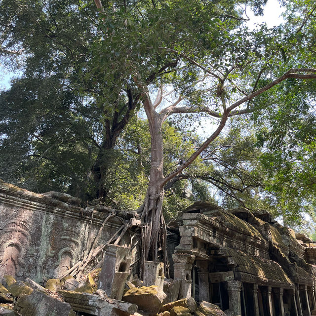 カンボジア 遺跡巡り