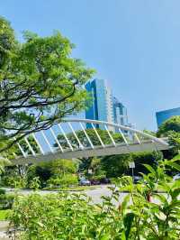 Southern Ridges 