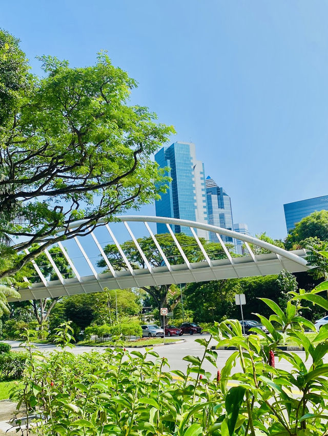 Southern Ridges 