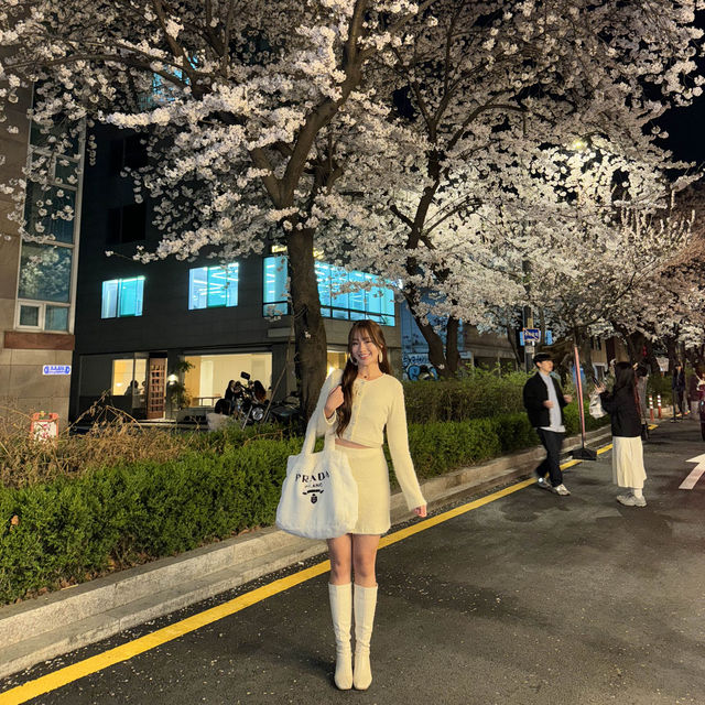 Shop and see cherry blossoms at Hongdae