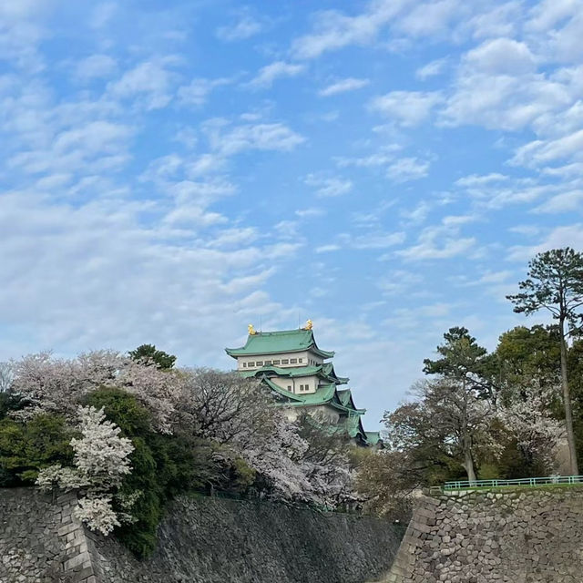 弘前城公園：春天櫻花浪漫景緻