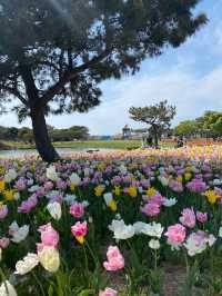 Uminonakamichi Seaside Park 