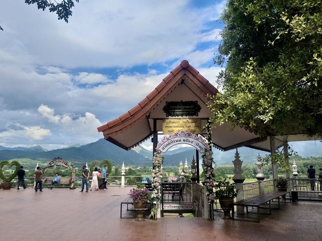 Rice Field View in Nan