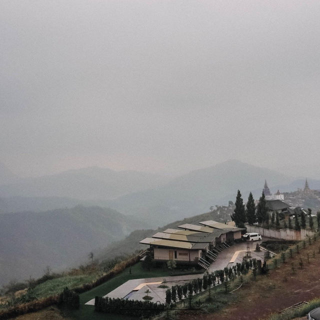 Pino Latte Resort & Cafe