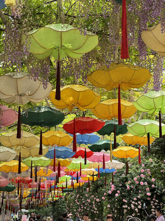💐 Manhua Manor • Chengdu 