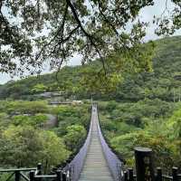 臺北台湖公園：湖光山色，適合野餐、散步和欣賞湖景