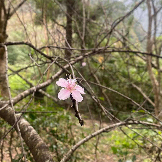 🌿 Exploring the wonders of Taroko National Park! 🏞️ 