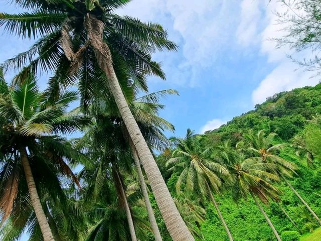 Pristine island In Malaysia, Songsong Island