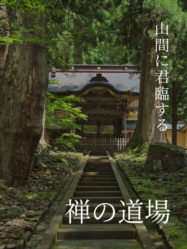 【福井】広大な敷地に君臨する曹洞宗大本山🏮写真だけじゃ伝えきれない福井の名スポットを紹介✨