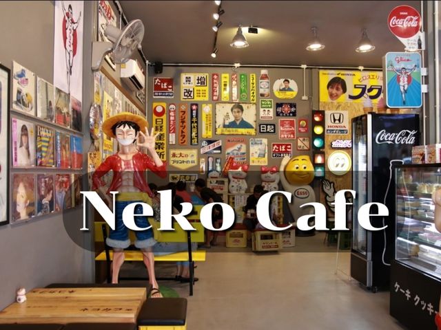 เที่ยวคาเฟ่ญี่ปุ่น Neko cafe