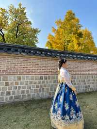 【韓國首爾】韓國最大必去宮殿，穿韓服享免費入園！