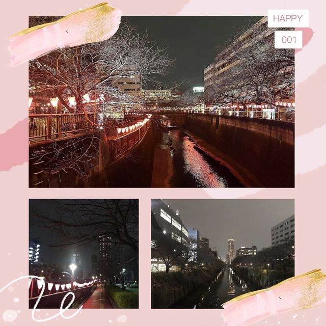 目黑川賞夜櫻🥰
