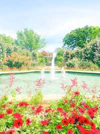  【神奈川】港の見える丘公園のつるばらアーチ
