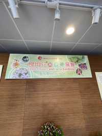🌸🌼✨ 春天好去處：繁花似錦霍士傑溫室 ✨🌼🌸