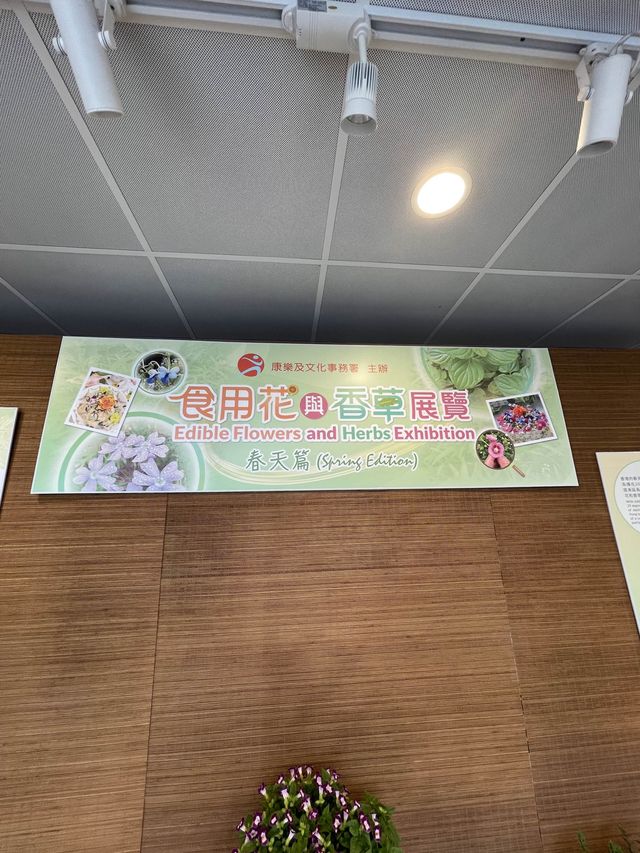 🌸🌼✨ 春天好去處：繁花似錦霍士傑溫室 ✨🌼🌸