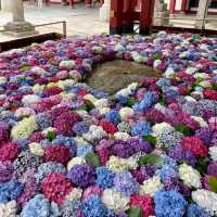 【福岡観光】6月になるとお目見えする花手水