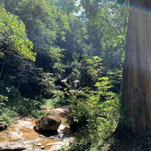 Forest Research Institute Malaysia