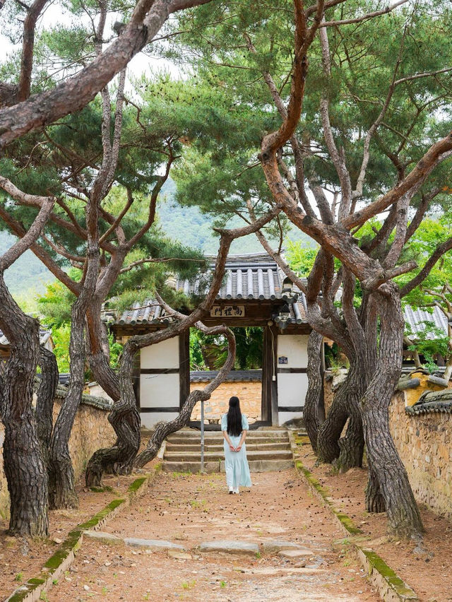 (일단 저장!) 힐링 여행이 필요하면 밀양으로 가야한다구? 제 2탄‼️