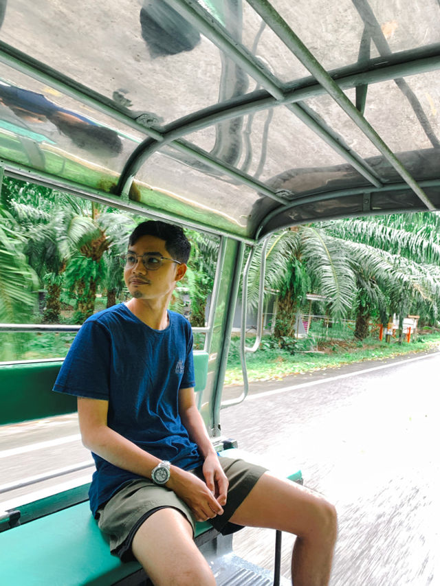 ย้อนเวลาไปเที่ยวพังงา🌴
