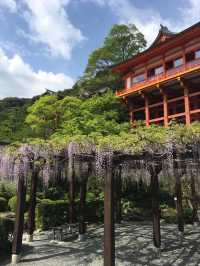 九州賞花景點