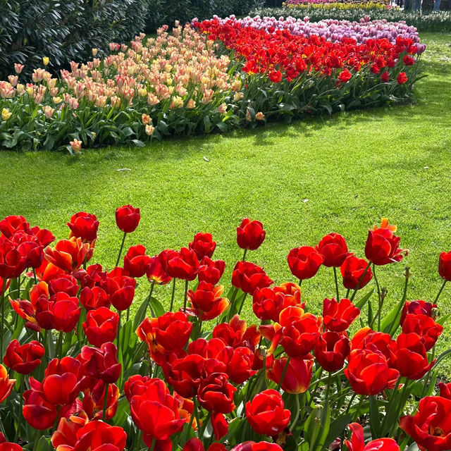 Riverview Park：繽紛花海、夏日休憩的仙境般花園