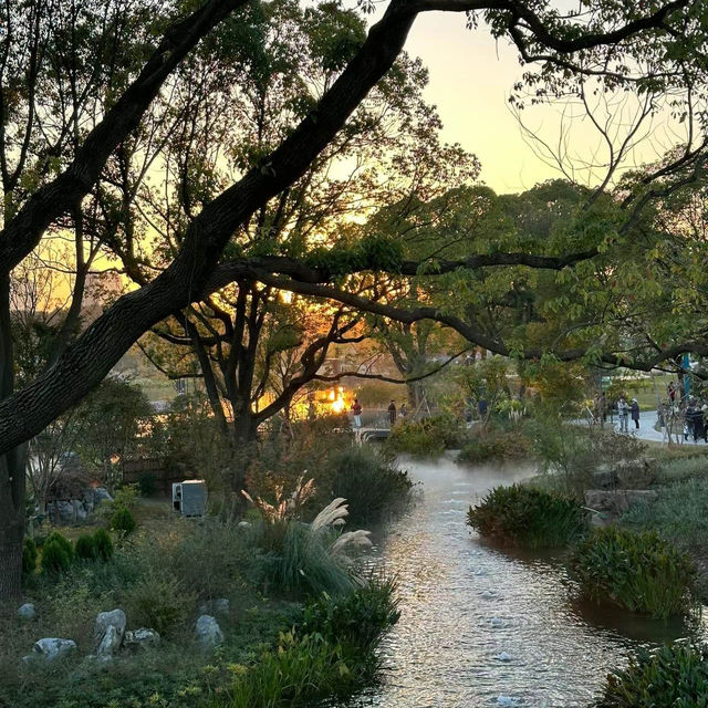 【日本】萬葉植物園：自然美景，充實愉快時光