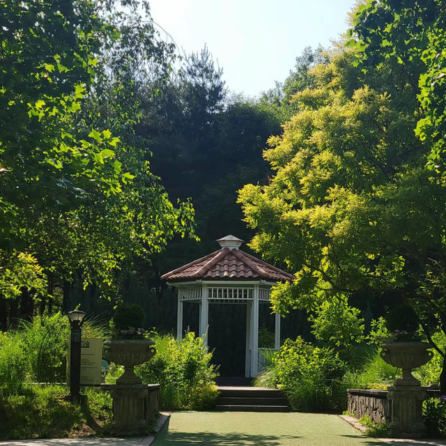 Miro Park：花園中的自然之美