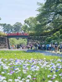 【神奈川】このコラボは全国でも貴重✨今しか見れない無料の映えスポット😍※撮影ポイント付